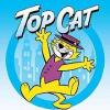 topcat(The most tip top)