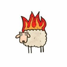 Flammable sheep